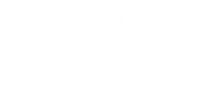 Caputo Law Firm logo, a Virdual IT client