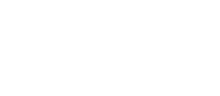 Caputofirm Partner - Virdual IT