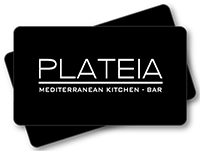 Plateiachicago Partner - Virdual IT